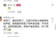 石家庄正宗爆料案件最新,最新案件细节揭秘