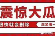 娱乐圈吃瓜八卦汇总,揭秘明星幕后故事与热点八卦