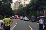 成都港的最新爆料,揭秘港口发展新动向与未来蓝图