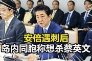 网民爆料安倍视频大全下载,网民爆料背后的真相与下载攻略