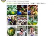 陕西吃瓜免费大学,免费福利助力校园生活